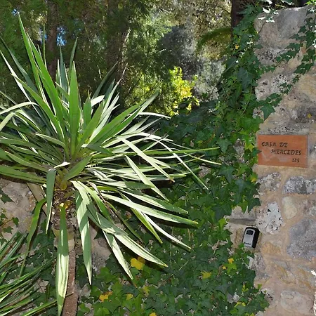 Дом отдыха 057 Mercedes Etv120 By Mallorca Charme Польенса