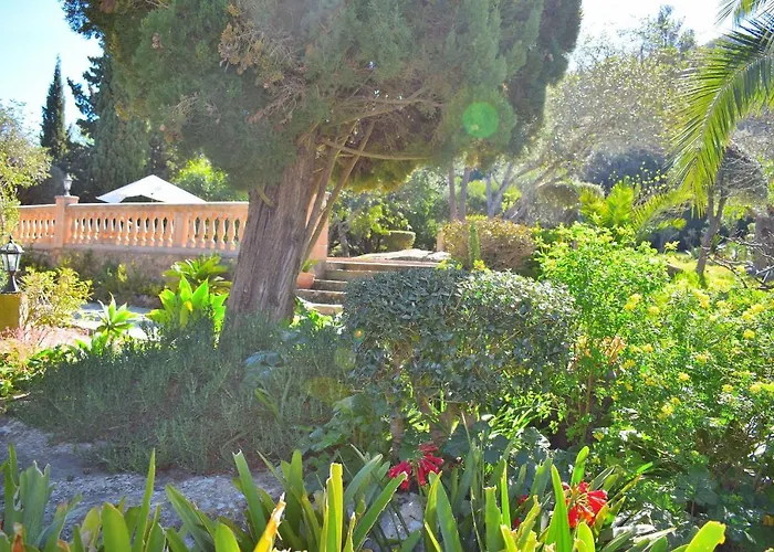 057 Mercedes Etv120 By Mallorca Charme * Pollensa