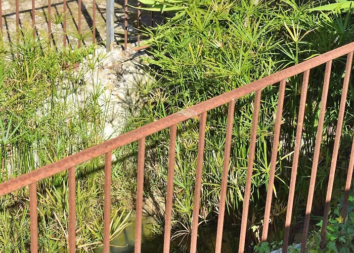 057 Mercedes Etv120 By Mallorca Charme * Pollensa