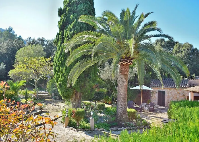 057 Mercedes Etv120 By Mallorca Charme * Pollensa