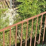 057 Mercedes Etv120 By Mallorca Charme * 波连斯萨