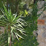 度假居 057 Mercedes Etv120 By Mallorca Charme 波连斯萨