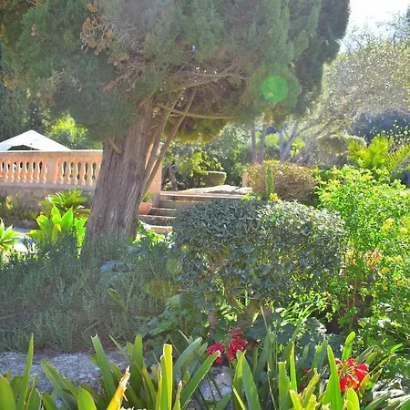 057 Mercedes Etv120 By Mallorca Charme * Pollença