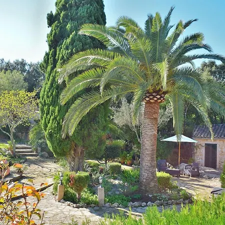 057 Mercedes Etv120 By Mallorca Charme * 波连斯萨