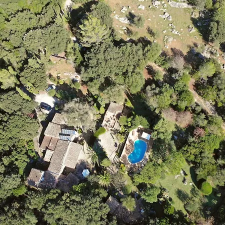 Feriehus 057 Mercedes Etv120 By Mallorca Charme *